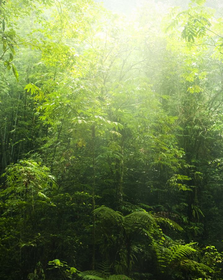 Moonpark Koru - Albayrak Beton